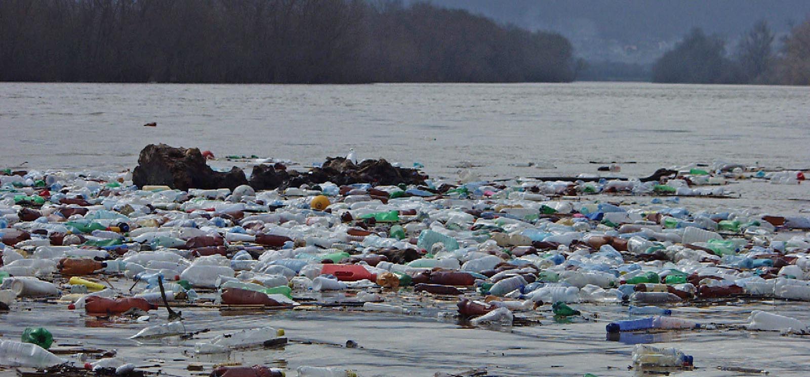 Acțiune de ecologizare a Defileului Oltului
