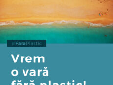 plastic petitie