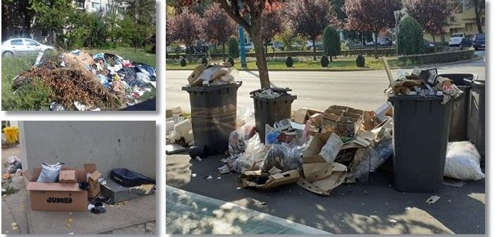 Timișoara are patru centre de colectare deseuri voluminoase, vegetale sau provenite din constructii si demolari