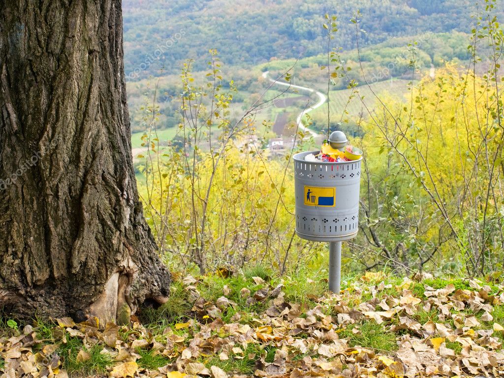 În cât timp se degradează natural diferitele deșeuri aruncate în natură