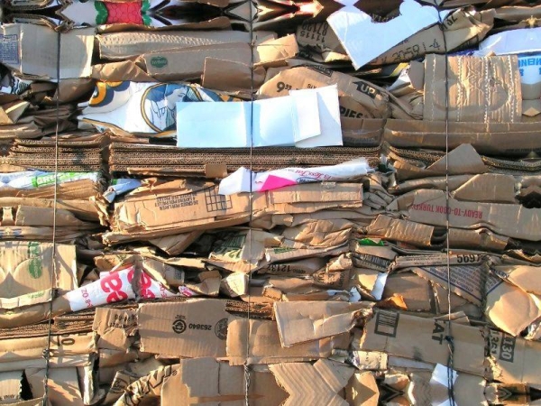 Category clutch sharp Reciclare hârtie și carton