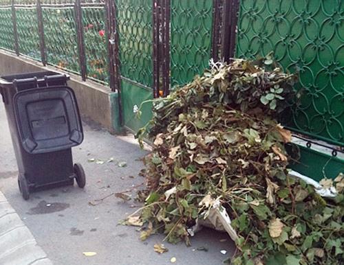Programul de colectare a deșeurilor vegetale în Odorheiu Secuiesc cu ocazia curățeniei de primăvară