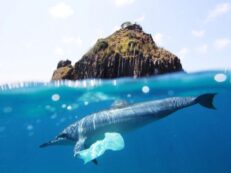 punga de plastic in mare