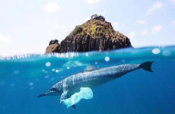 punga de plastic in mare