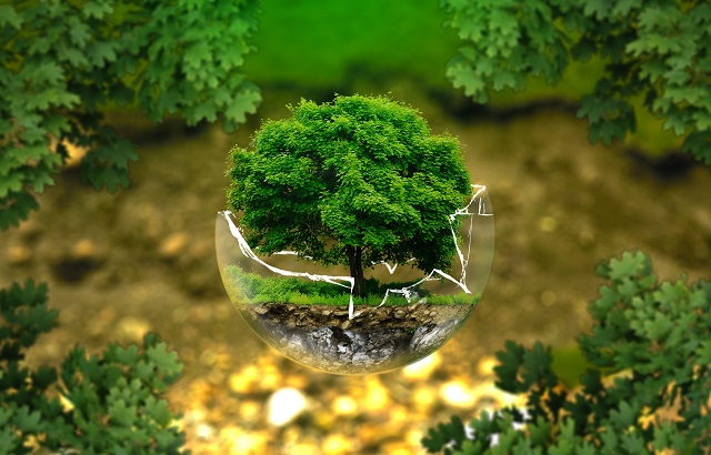 green esg environmental investing tree