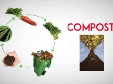 compost bio deseuri