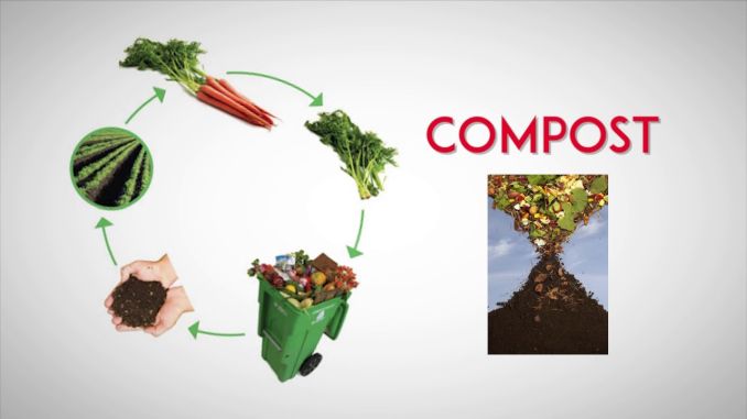 compost bio deseuri