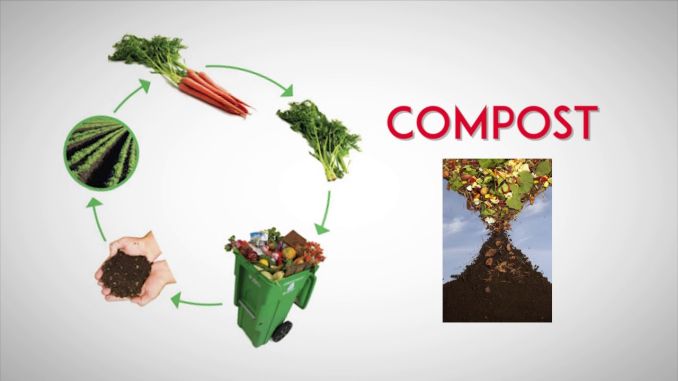 Colectarea separată a deșeurilor biodegradabile începând din 2021 este obligatorie