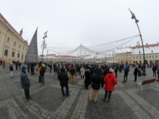 protest deseuri piata mare