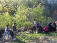 ecologizare