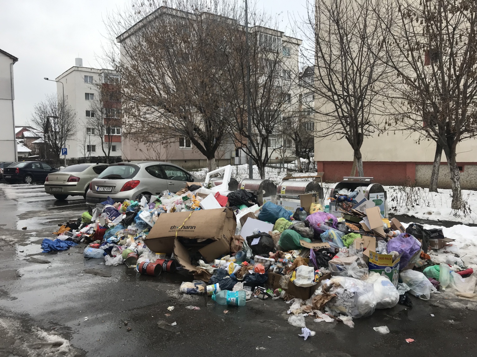 Cetățenii Bârladului sunt rugați să se implice activ în stoparea abandonului deșeurilor pe domeniul public