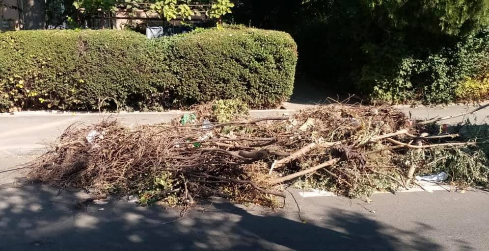 Centru de colectare la Târnăveni pentru deșeurile vegetale si a deseurile rezultate din activitati de constructii si demolari