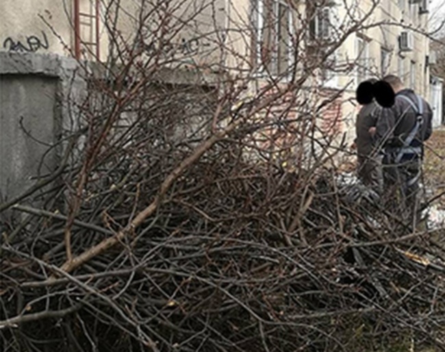 Deșeurile vegetale din Buziaș se colectează în perioada 29 martie – 13 aprilie