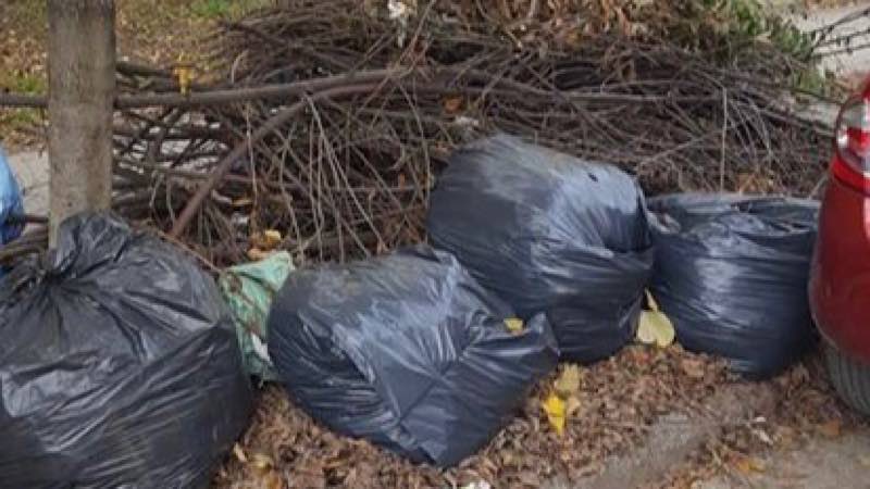 SALUBRI Aleșd colectează resturile vegetale și le transformă în compost