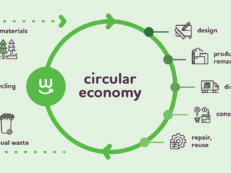 economie circulara