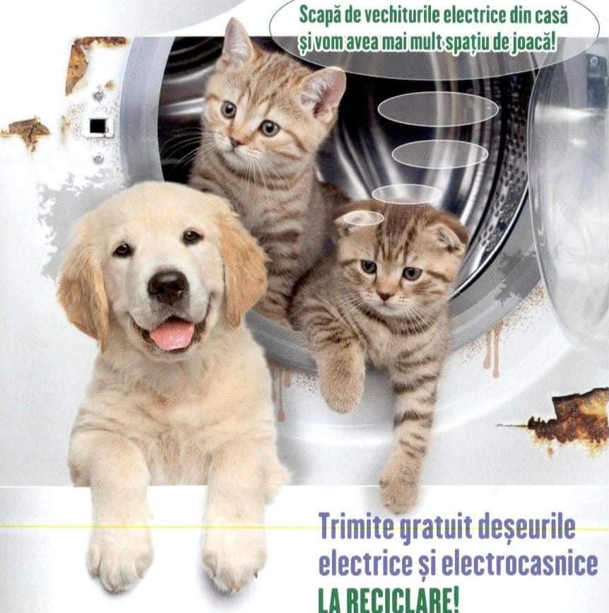 Colectare gratuită a deșeurilor electrice și electrocasnice din Topoloveni în zilele de 21, 22 și 23 aprilie