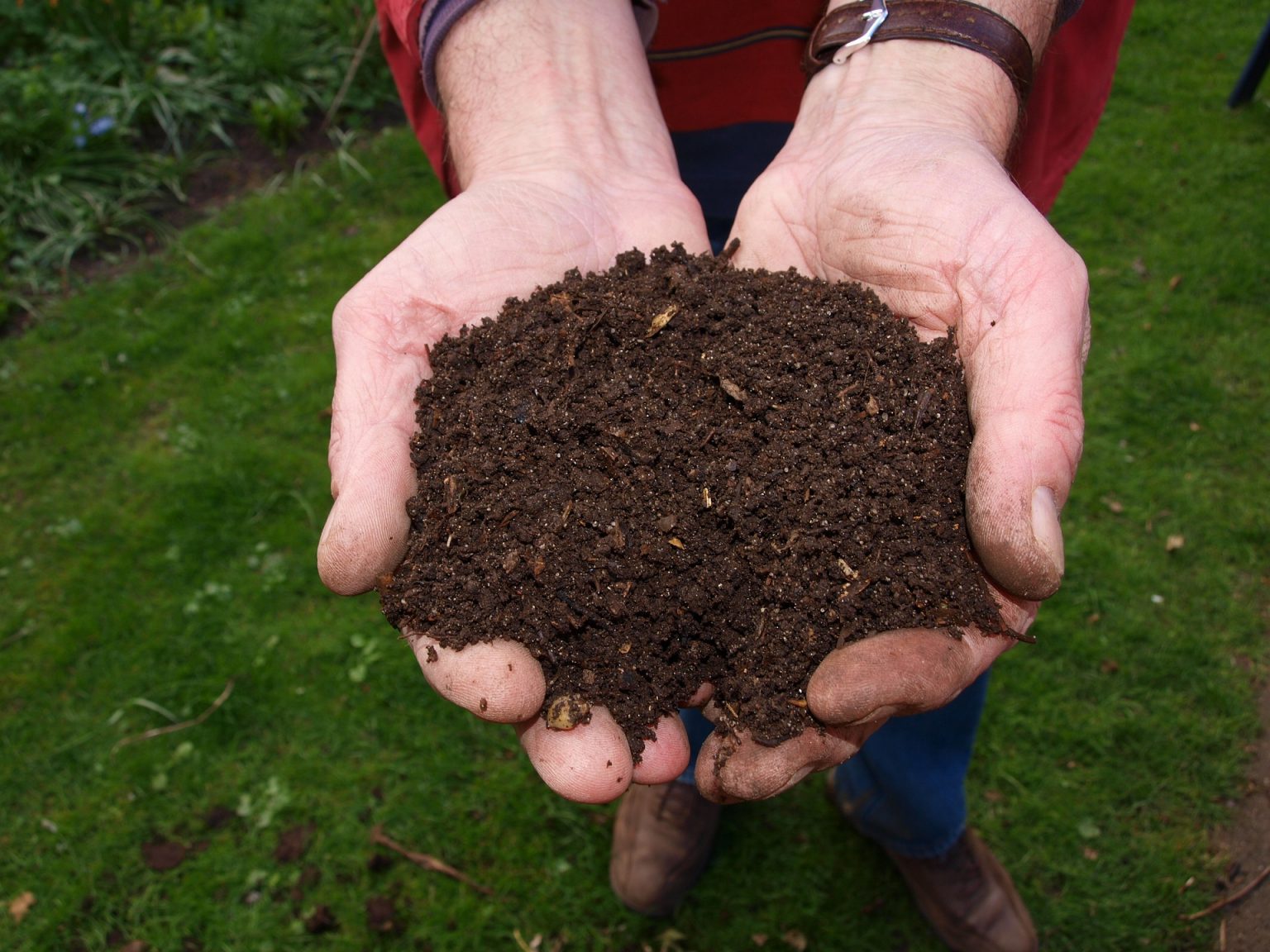 BRANTNER SERVICII ECOLOGICE vinde compost în Piatra Neamț