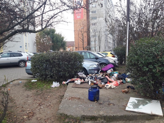 Fundația Județeană pentru Tineret Timiș: “Hai, cu noi, sâmbătă, să curăţăm oraşul Timișoara de gunoi!”