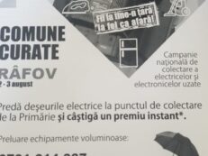 deseuri electrice si electrocasnice rafov