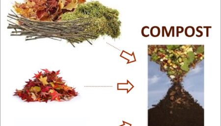 compost