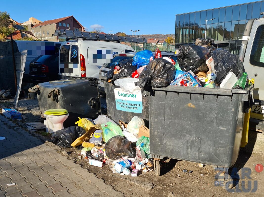 Colectarea selectivă, educată prin amendă la Oradea