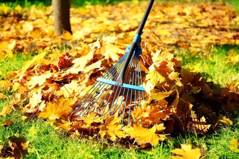 Campanie de colectare a deșeurilor vegetale și voluminoase din Baia Mare, zona de case