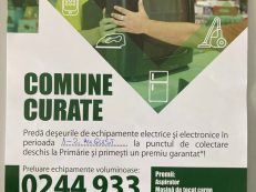 Paulesti colectare deseuri electrice si electronice