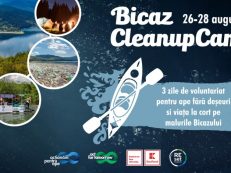 Cover Bicaz Cleanup Camp x