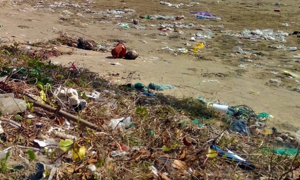 Acțiune de ecologizare a Plajei Tineretului din Călărași
