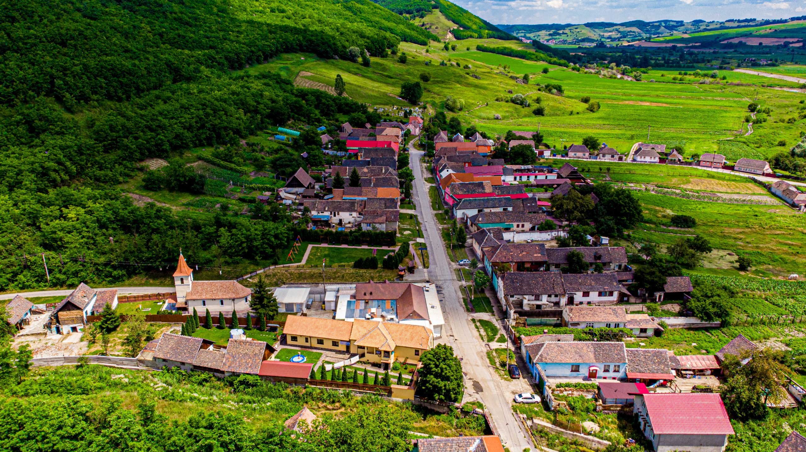 Acțiuni de ecologizare, de colectare a deșeurilor și de plantări în Copșa Mică